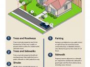 Sisters Guide to Property Maintenance: maintain trees over street and sidewalk right-of-ways, sidewalk repairs, and parking