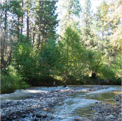 Creek