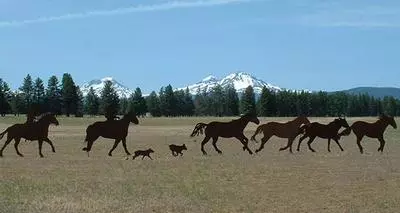 Lazy Z Horse Sculpture