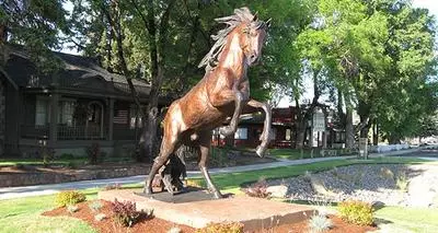 Wild Stallion Sculpture