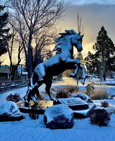 Snowy Horse