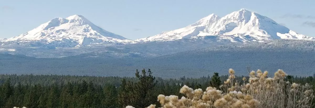 Mt.Vista
